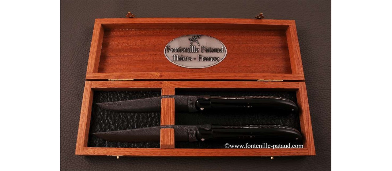 https://www.fontenille-pataud.com/10212-large_default/set-of-2-laguiole-steak-knives-damascus-full-handle-black-horn-tip.jpg