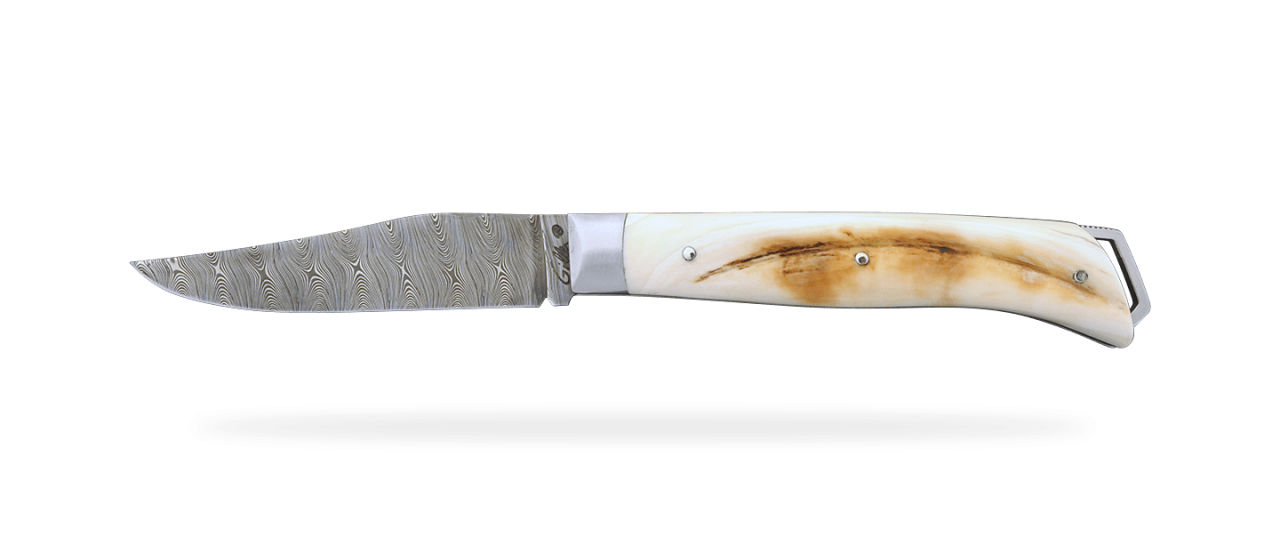 Couteau à Champignon Bois de cerf