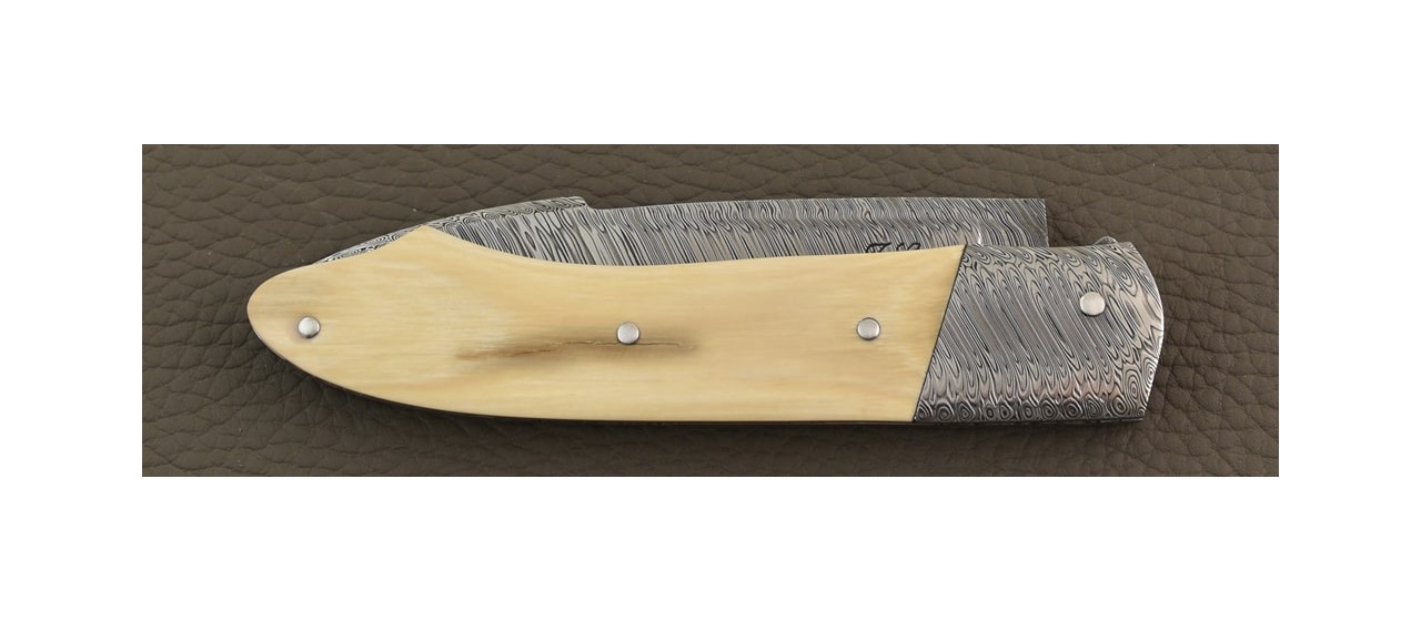 Gueuleton Damascus blade and bolster, Brown Mammoth Ivory by Jérôme Latreille