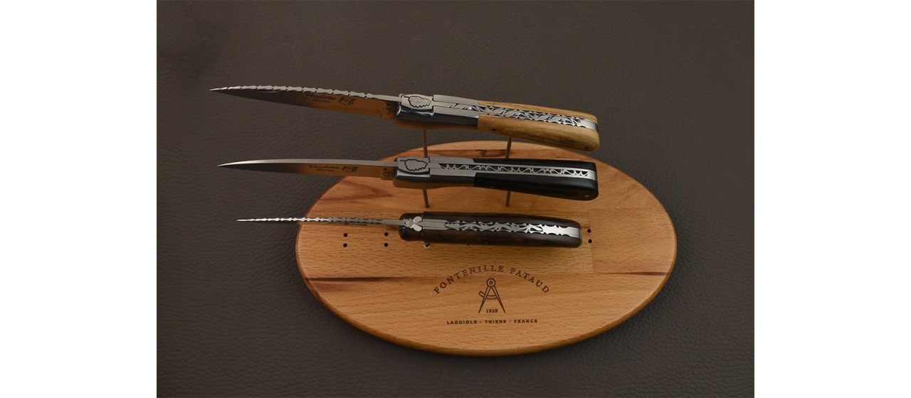 Gujugm Support d'couteaux Présentoir couteaux en acrylique