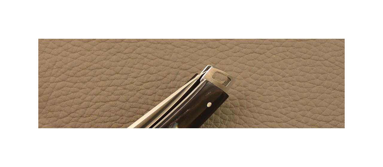 couteau pliant Le Thiers® Nature Micarta de l'espace