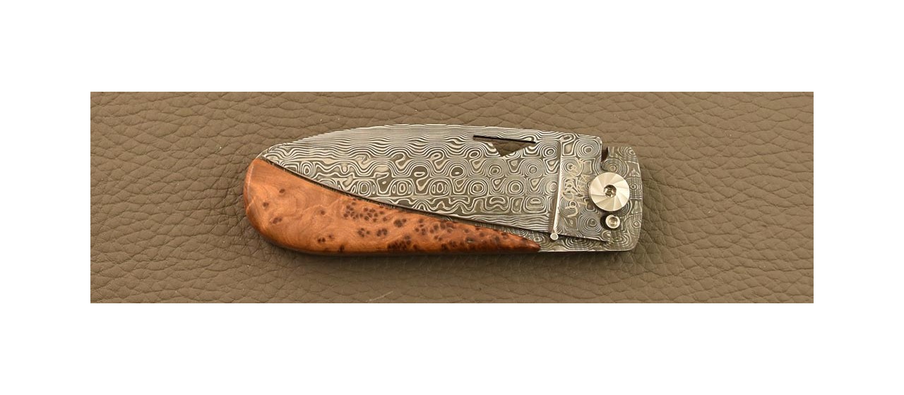 Corsican U Cumpa knife Damascus Range Thuya burl