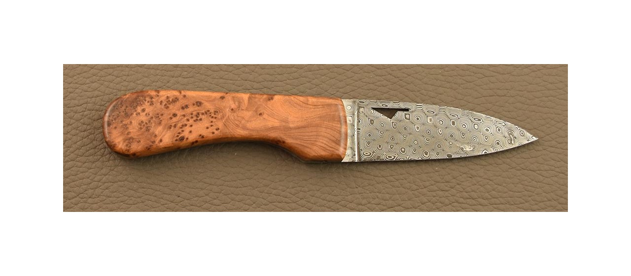 Corsican U Cumpa knife Damascus Range Thuya burl