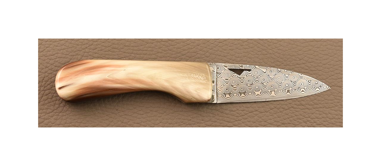 Corsican U Cumpa knife Damascus Range Real horn tip