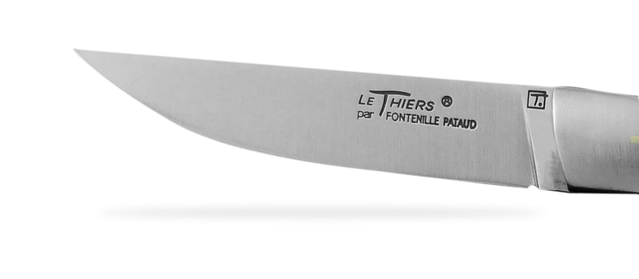 Workshop: Le Thiers® classic blade