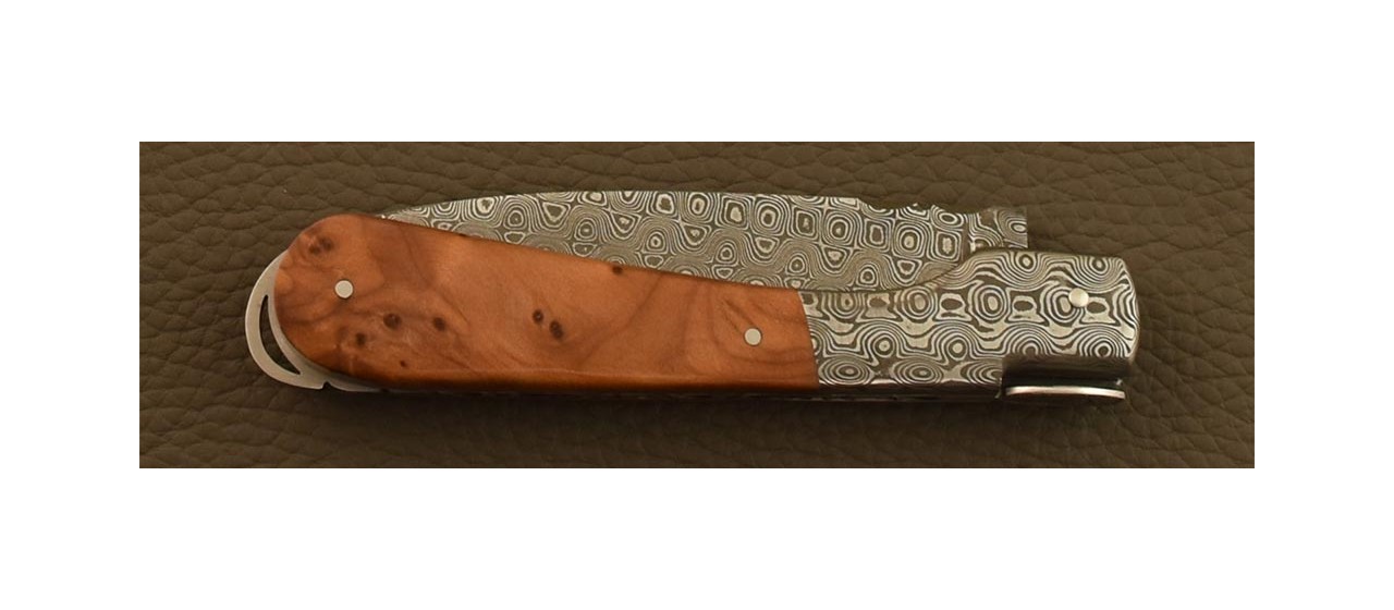 Corsican Sperone knife "Guilloché" Damascus Range Thuya burl