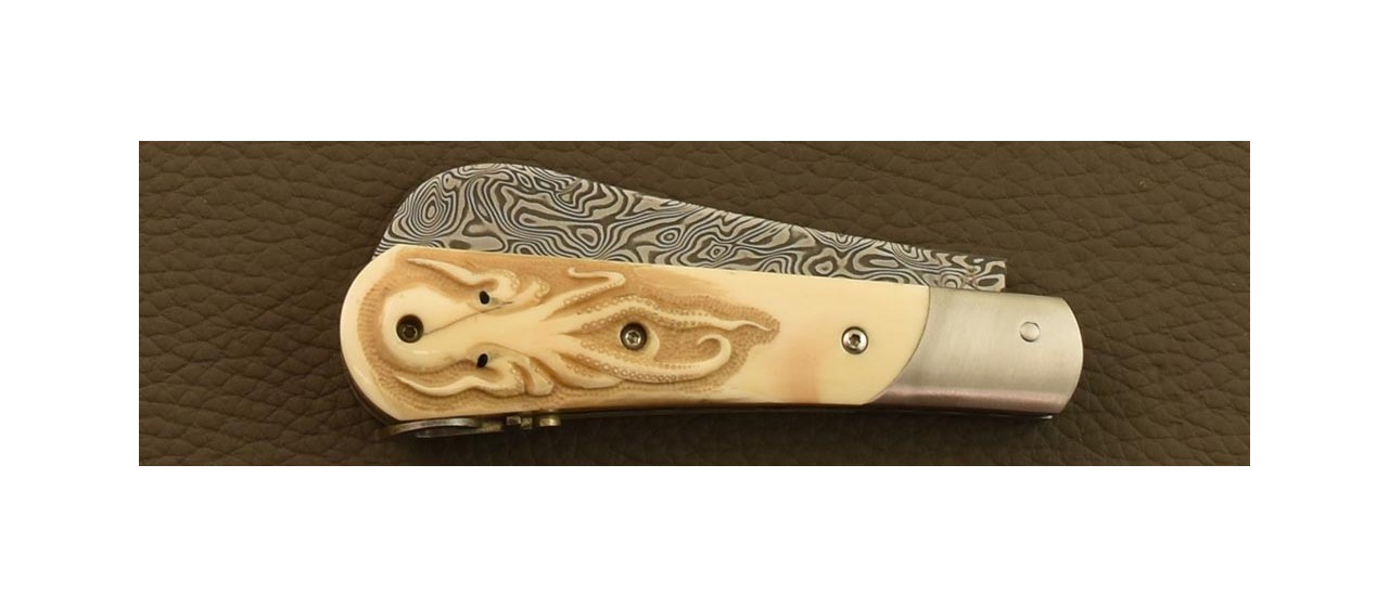 London pen knife Damascus Warthog ivory