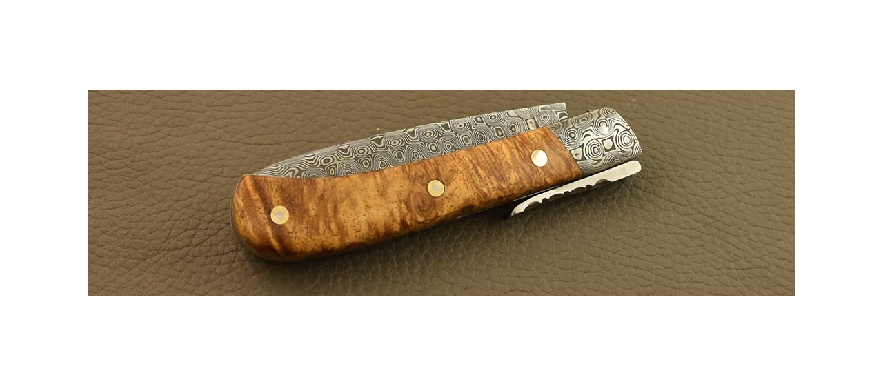 Corsican L'Antò knife Damascus Range Amboyna burl