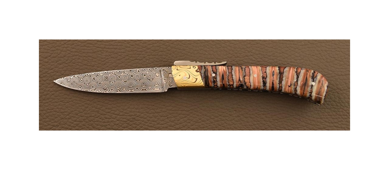 L'Antò Corse Guilloché Damas Molaire de Mammouth Marron et mitre en Mokume-Gane